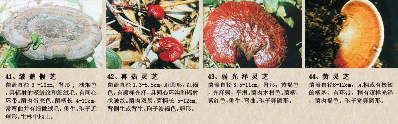 圖片關(guān)鍵詞 圖片關(guān)鍵詞