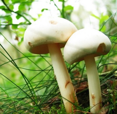 圖片關鍵詞 圖片關鍵詞