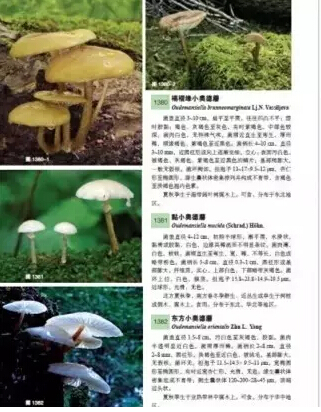 圖片關(guān)鍵詞 圖片關(guān)鍵詞