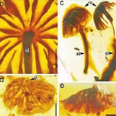 圖片關鍵詞 圖片關鍵詞