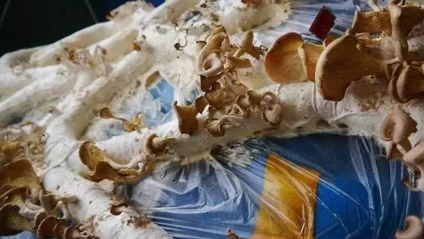 圖片關鍵詞 圖片關鍵詞