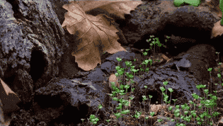 圖片關鍵詞 圖片關鍵詞