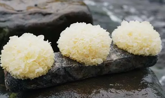 圖片關(guān)鍵詞 http://m.glass1234.com/ewebeditor/uploadfile/20180328092751720001.png