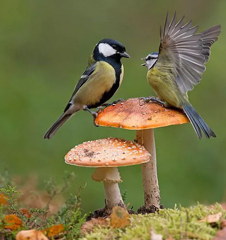 圖片關鍵詞 圖片關鍵詞