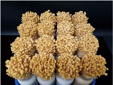 圖片關鍵詞 圖片關鍵詞