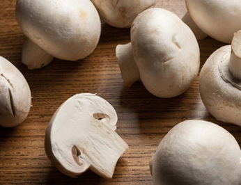 圖片關鍵詞 圖片關鍵詞