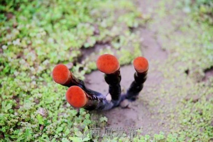 圖片關鍵詞 圖片關鍵詞