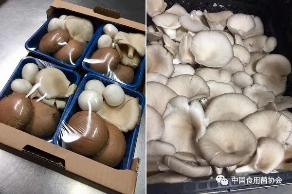 圖片關(guān)鍵詞 https://mmbiz.qpic.cn/mmbiz_jpg/qmUUOFzKOyQBM6viceU3sic7YzrQY48ticED0wPV1EicgibhkicnVib1CKlTTiaxicNreRbVy9vfsCnxID4nI0FmiapMvib2w/640?wx_fmt=jpeg