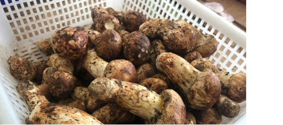 圖片關鍵詞 圖片關鍵詞