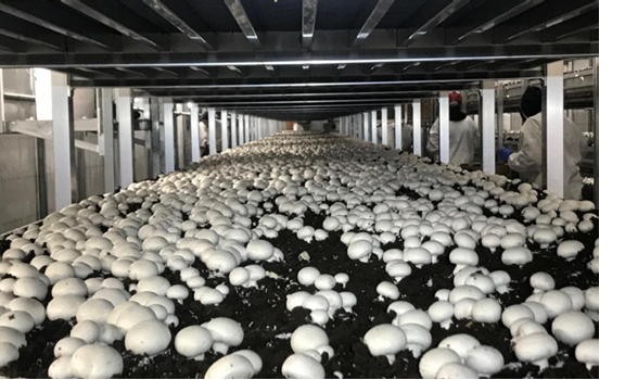 圖片關鍵詞 圖片關鍵詞