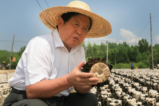 圖片關(guān)鍵詞 圖片