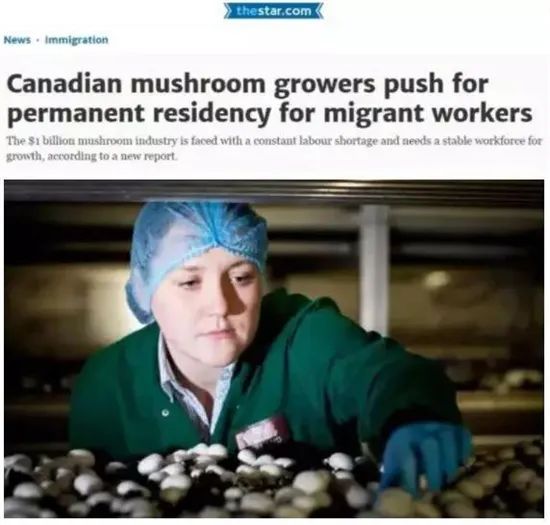 圖片關(guān)鍵詞 圖片