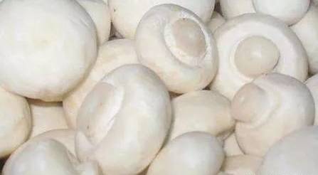 圖片關(guān)鍵詞 圖片