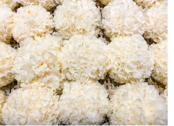 圖片關(guān)鍵詞 圖片關(guān)鍵詞