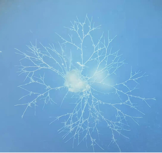 圖片關鍵詞 圖片關鍵詞