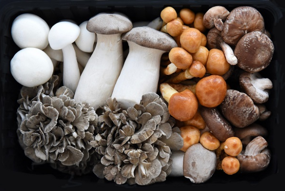 圖片關(guān)鍵詞 圖片