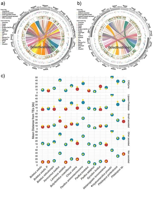 圖片關(guān)鍵詞 圖片