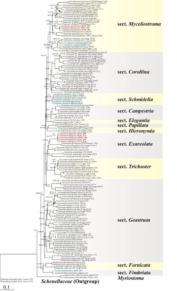 圖片關(guān)鍵詞 圖片關(guān)鍵詞