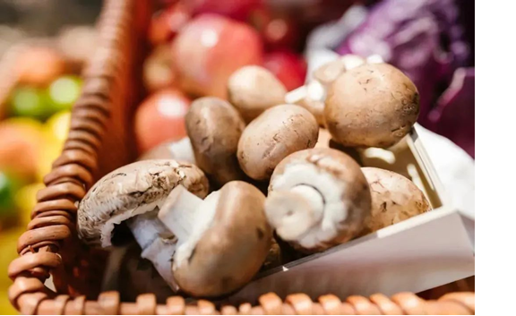 圖片關鍵詞 圖片關鍵詞