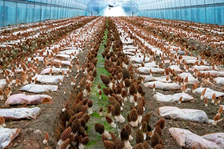 圖片關(guān)鍵詞 圖片關(guān)鍵詞