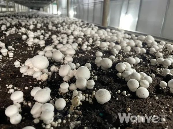 圖片關鍵詞 圖片關鍵詞