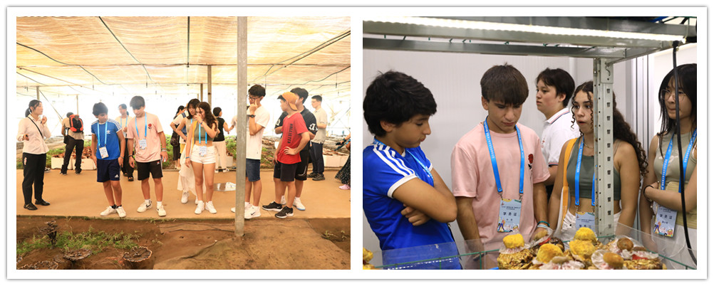 圖片關(guān)鍵詞 圖片關(guān)鍵詞