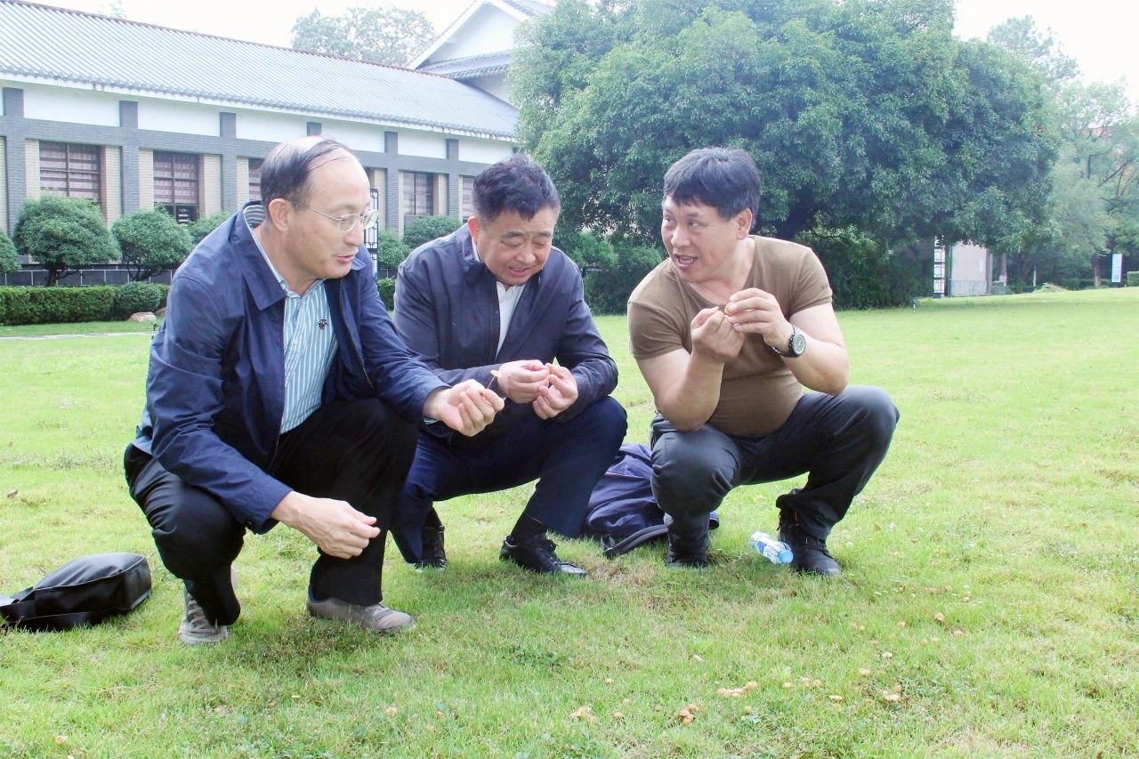 圖片關鍵詞 圖片關鍵詞