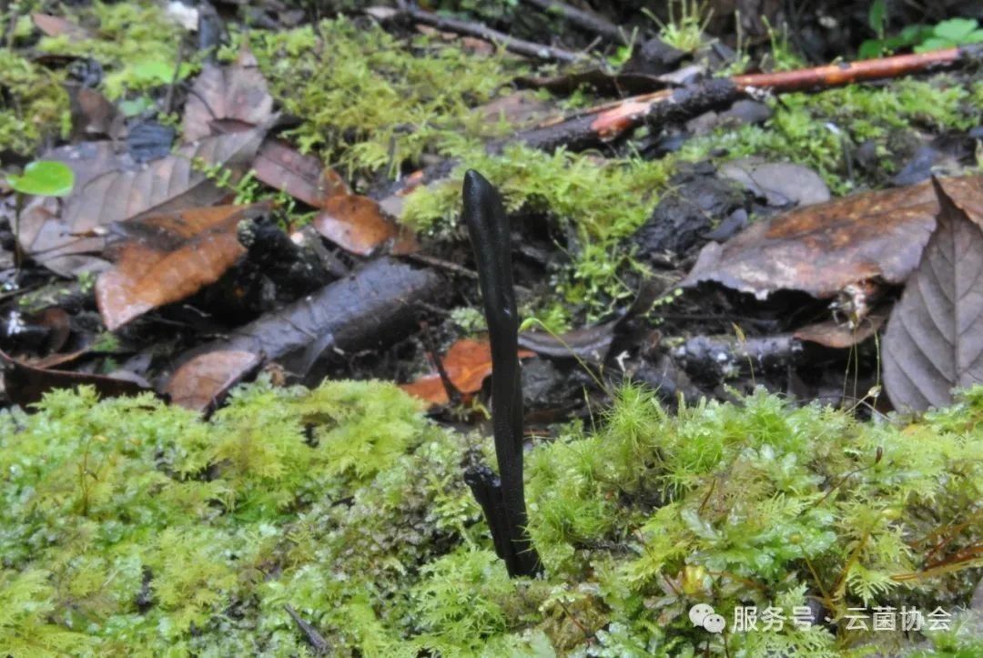 圖片關鍵詞 圖片關鍵詞