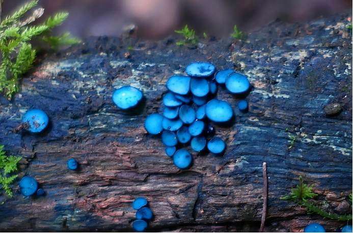 圖片關鍵詞 圖片關鍵詞