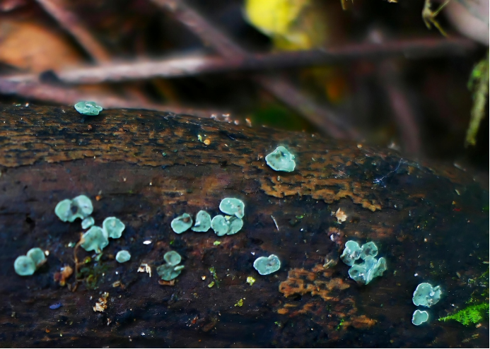 圖片關鍵詞 圖片關鍵詞