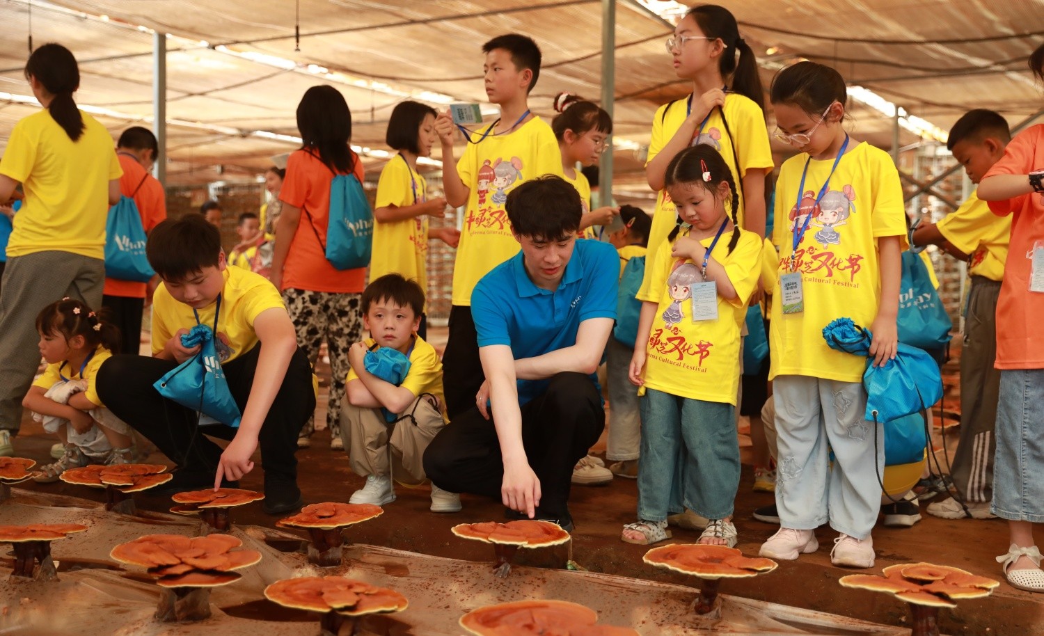 圖片關鍵詞 圖片關鍵詞