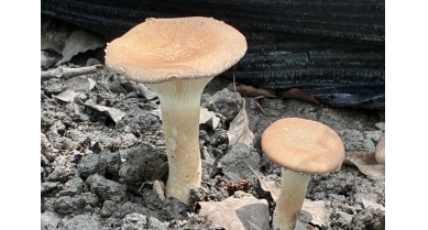 行業(yè)動(dòng)態(tài)